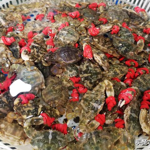 (砍价砍一刀什么意思)砍一刀,感受生活的鲜活之美:探索砍价文化背后的奥秘与乐趣 (砍价砍一刀什么意思)砍一刀,感受生活的鲜活之美:探索砍价文化背后的奥秘与乐趣