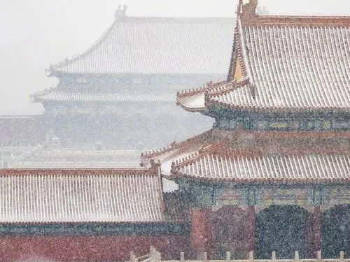 探秘传统文化之魅力:梦回白玉京内购,解析古代故宫建筑美学与皇室生活 探秘传统文化之魅力:梦回白玉京内购,解析古代故宫建筑美学与皇室生活