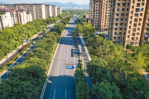 (良田农业科技有限公司)探寻农业革新之路:这城有良田交易平台,诠释现代农业新格局 (良田农业科技有限公司)探寻农业革新之路:这城有良田交易平台,诠释现代农业新格局