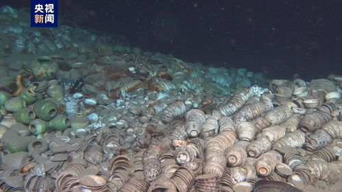 探索深海奥秘,一路收获满满的钓鱼佬1-100集回顾——穿越幽暗深渊,揭秘大海之谜 探索深海奥秘,一路收获满满的钓鱼佬1-100集回顾——穿越幽暗深渊,揭秘大海之谜