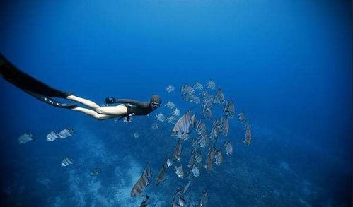 探索深海奥秘,一路收获满满的钓鱼佬1-100集回顾——穿越幽暗深渊,揭秘大海之谜 探索深海奥秘,一路收获满满的钓鱼佬1-100集回顾——穿越幽暗深渊,揭秘大海之谜