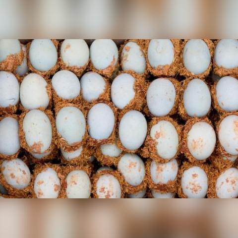 (混乱武侠世界)混沌世界中的武侠英雄：最新武侠放置类手游推荐