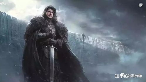 (权力的游戏 网站)权力的游戏凛冬将至网页版:探索权谋与背叛的冒险世界