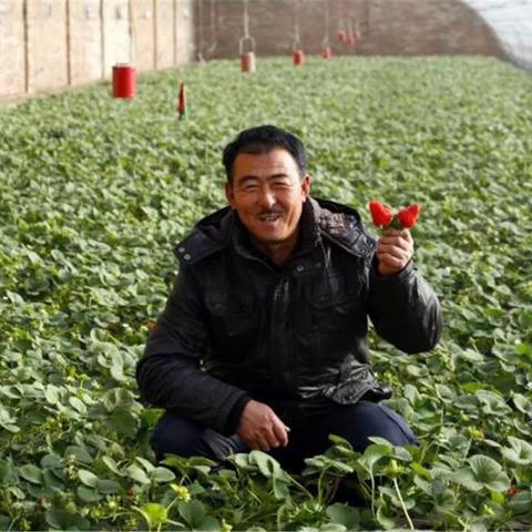 独家揭秘:王蓝莓的烧烤摊,无限钞票免广告,暴利背后的惊人秘密! 独家揭秘:王蓝莓的烧烤摊,无限钞票免广告,暴利背后的惊人秘密!