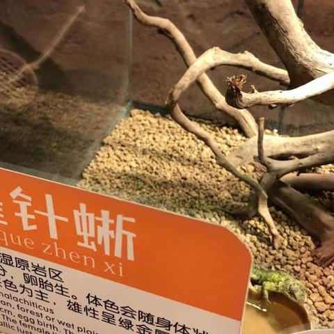 (疯狂动物园客服联系)疯狂动物园客服:提供24小时在线服务,解决您的每一个问题。 (疯狂动物园客服联系)疯狂动物园客服:提供24小时在线服务,解决您的每一个问题。