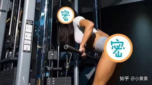 (元气弹是什么玩意儿)元气弹最强:从护肤到健身,让你焕发活力,重拾自信!