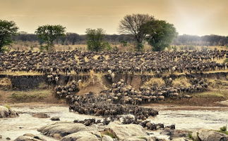 (探寻远古小镇的踪迹:神秘遗迹究竟藏在哪里)探寻远古小镇的踪迹:神秘遗迹究竟藏在哪里? (探寻远古小镇的踪迹:神秘遗迹究竟藏在哪里)探寻远古小镇的踪迹:神秘遗迹究竟藏在哪里?