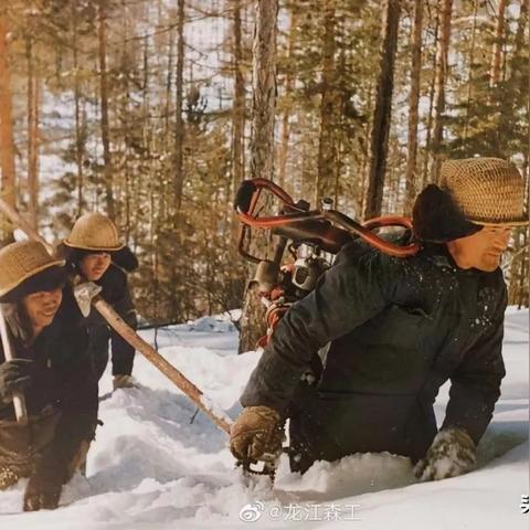 探寻《零下记忆2试玩》的魅力,揭秘游戏内隐藏的惊喜与心得分享 探寻《零下记忆2试玩》的魅力,揭秘游戏内隐藏的惊喜与心得分享