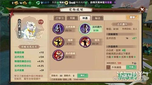 探究盖世大侠如何选择出色战斗宠物:解析合适侠士伴侣,寻找最强大的宠物格斗之皇 探究盖世大侠如何选择出色战斗宠物:解析合适侠士伴侣,寻找最强大的宠物格斗之皇