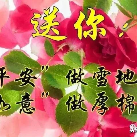 探索那束光:理解并解读'永恒之光'的深层含义及其在人类历史与文化中的影响 探索那束光:理解并解读'永恒之光'的深层含义及其在人类历史与文化中的影响