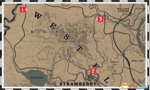 (荒野大镖客详细地图)探秘荒野大镖客攻略图文:不可错过的游戏技巧与地图指南 (荒野大镖客详细地图)探秘荒野大镖客攻略图文:不可错过的游戏技巧与地图指南