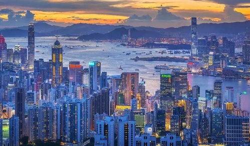 粤港澳大湾区产业联盟:共筑跨境合作新未来,携手共创繁荣发展