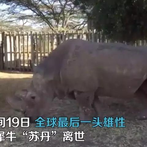 (基因雨风塔攻略)探索基因雨及基因雨风塔的神秘世界:科技与自然的结合之美 (基因雨风塔攻略)探索基因雨及基因雨风塔的神秘世界:科技与自然的结合之美