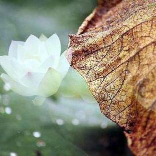 (追想轮回)追寻轮回无限重启游戏:探索循环之谜,挑战终极命运"。 (追想轮回)追寻轮回无限重启游戏:探索循环之谜,挑战终极命运"。