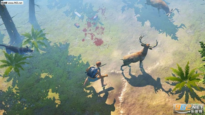 (寻找生存之路)探寻生存之道:SurvivorLsland攻略图解指南