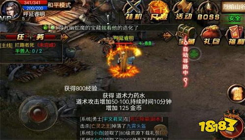 (蓝月至尊返利版秘籍搭配)探索蓝月至尊返利版贪玩，让你迷失于游戏世界的乐趣与挑战