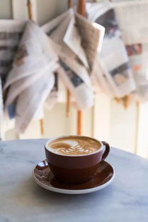 熊猫咖啡屋配方：如何在家里制作和享受与咖啡屋一样美味的咖啡？