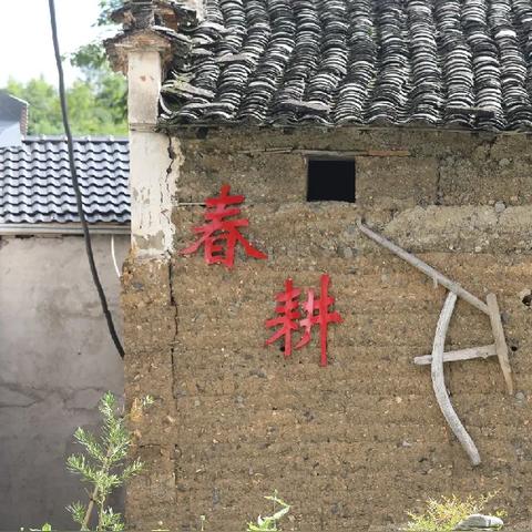 (手游野外求生游戏)探秘未知:用手机版的野外求生游戏,开启随时随地的生存挑战 (手游野外求生游戏)探秘未知:用手机版的野外求生游戏,开启随时随地的生存挑战