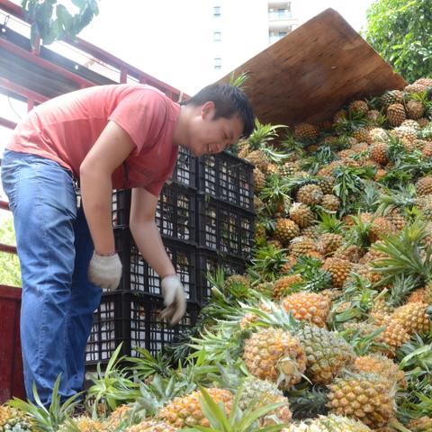(一款很老的农场游戏)探寻乡村记忆：重温经典，探寻一款非常古老的农场游戏