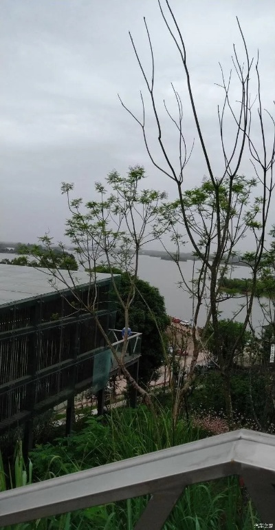 心岛地铁站：穿越城市喧嚣，静谧之所，探寻内心的归属和安宁。