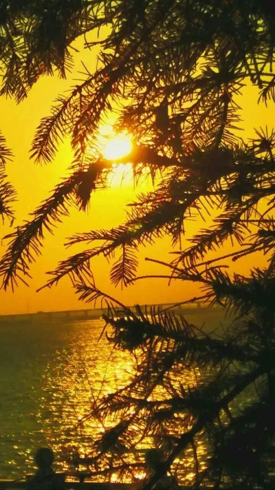 在朝阳初升的时刻，浸入黎明希望的句子里，唤醒内心的光芒和力量