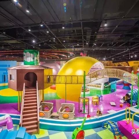 (跨学科案例是什么)萌宠大揭秘：探索跨学科案例的奥秘与魅力