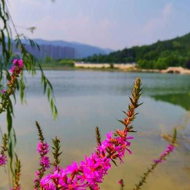 (快乐的一天海边游玩)三年级作文：我快乐的一天——去海边玩的经历描述