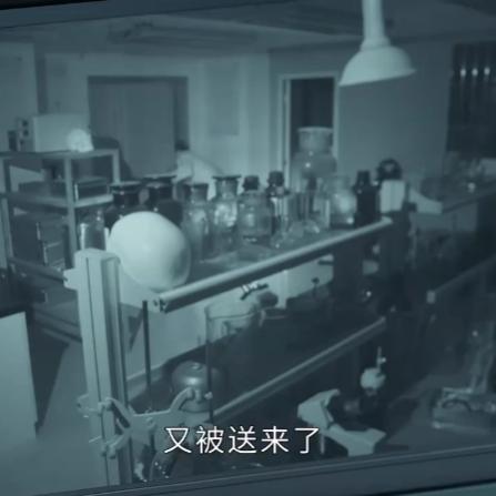 (白夜剧照)《白夜破晓》官宣阵容：新剧迎来实力派演员，精彩演绎引期待