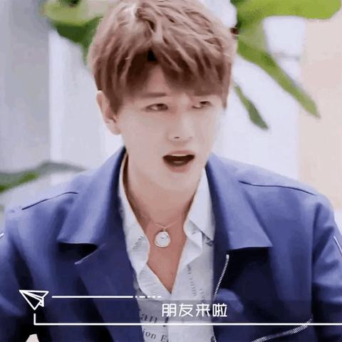 (我的喵喵喵是什么歌曲)我的喵会功夫：内置作弊菜单探秘，相思背后的奇幻冒险之旅