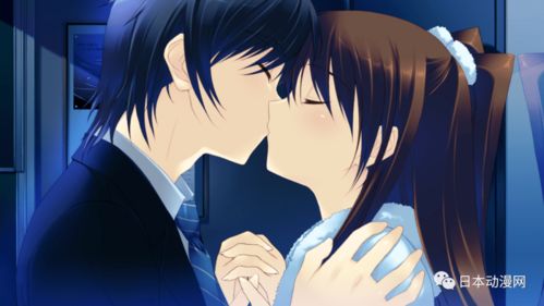 (白色相簿2游戏百度百科)白色相簿2安卓版：山河远阔中的爱情与成长之旅