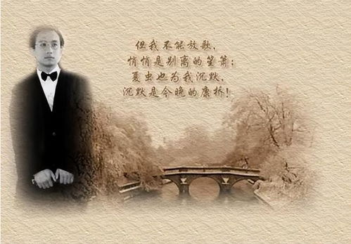 (无寂寥是什么意思)深入探讨‘无寂’一词的含义及其在现代生活中的启示与应用