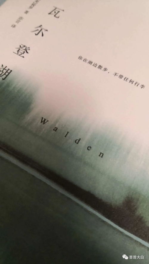 (无寂寥是什么意思)深入探讨‘无寂’一词的含义及其在现代生活中的启示与应用