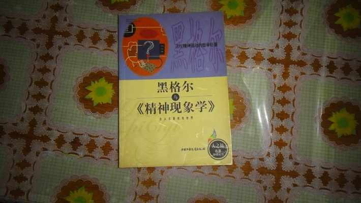 (黑格尔 书籍)解读《黑书》中荣格哲学：探究个体与集体的心理现象与冲突