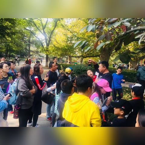 探秘自然奥秘：代号二十四节气游戏，打破传统课堂教育模式的新型科普游戏体验