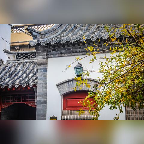 (一片树叶变呀变故事)三年级诗歌朗读课：一片树叶变呀变，缤纷色彩惊艳眼。