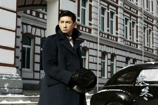 (代号玄武谍战小说)代号玄武是什么电视剧？神秘剧情揭秘，演员名单大揭露！