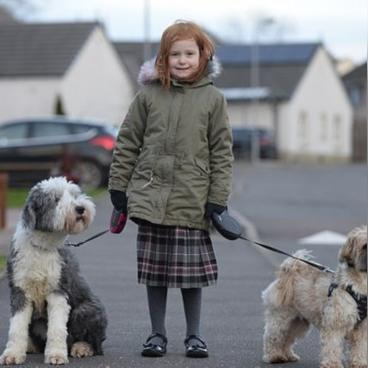 (怎么培养宠物)家养萌宠：如何培养快乐健康的宠物生活方式？