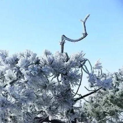 (天堂奇迹是真实的吗)天堂奇缘人物：穿越时空，跨越生死，遇见我们的灵魂伴侣