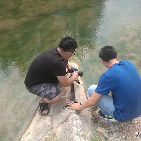 (类似桃源记的单机游戏)探寻诗意之地：一款类似桃源记的生存游戏