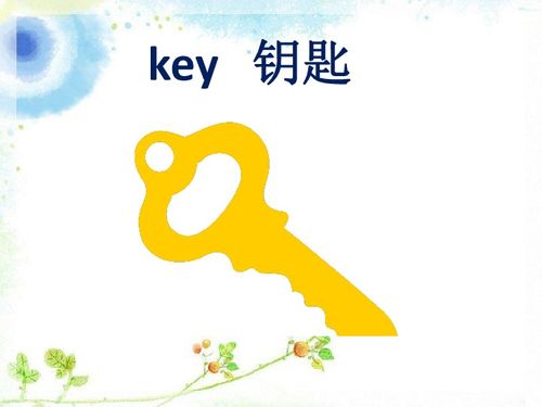 (全身百度百科)What is the English translation for "全身斯帕"?