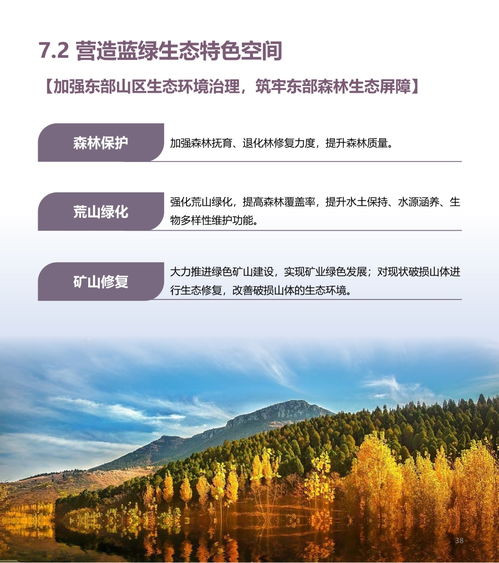 (青岚是什么意思)深入探讨青岚是什么：它的起源、意义及在自然中的独特地位