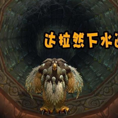 (口袋小精灵副本在哪)探索口袋小精灵的实用攻略和技巧，让你成为顶尖训练师!