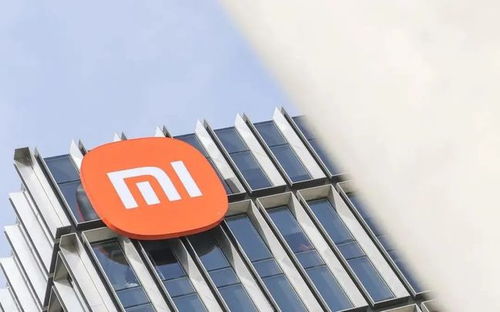 (小米2021年3月)小米2024年Q3现金储备显著增长,未来发展战略受益将更加明显 (小米2021年3月)小米2024年Q3现金储备显著增长,未来发展战略受益将更加明显