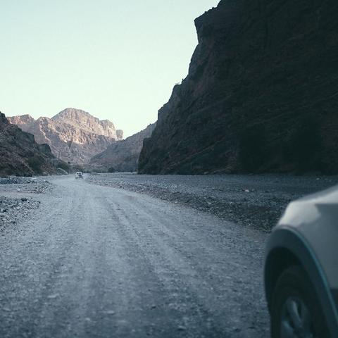 详解版：荒野冒险游戏全攻略，精准指明关卡突破与角色提升技巧