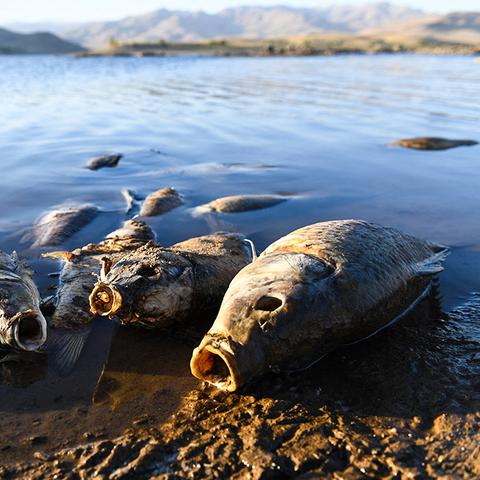(飞行威胁)飞行危机通关攻略：如何在空中遇到问题时保持冷静应对？