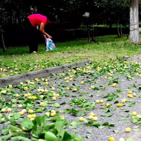(梦者12h)梦者最后和谁在一起了？不同的选择，不同的结局