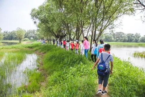 探秘风林百科:解读自然奥秘,探寻生态之美,感受大自然的魅力 探秘风林百科:解读自然奥秘,探寻生态之美,感受大自然的魅力