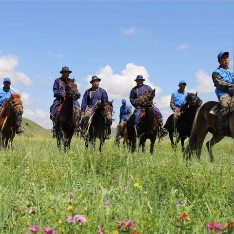 (守望骑士)守望骑兵：探讨游戏中的团队协作精神和战术技巧