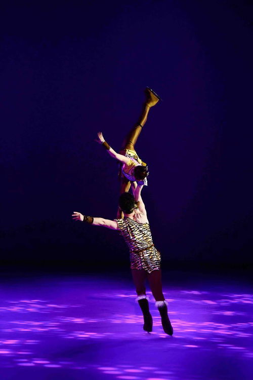 (舞秀是一种形式多样的舞蹈表演吗英语)舞秀是一种形式多样的舞蹈表演吗？