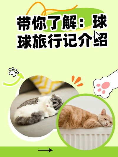 (球球带你旅游)下载最新版的球球旅行记: 真实的游戏体验等你来探索!